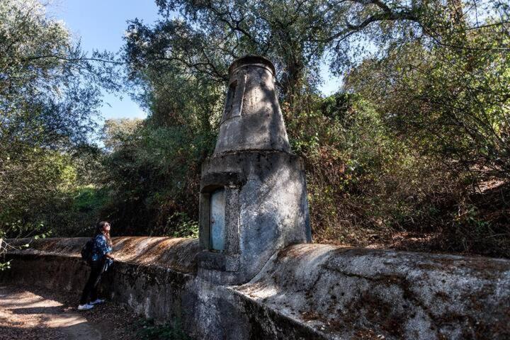 Monte Do Serrado De Baixo - T4 エヴォラ エクステリア 写真